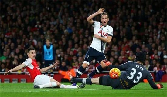 的多點開花 的多點開花